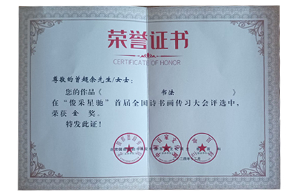 俊采星驰杯比赛荣获金奖