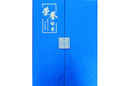 <b>翰墨杯_金奖</b>